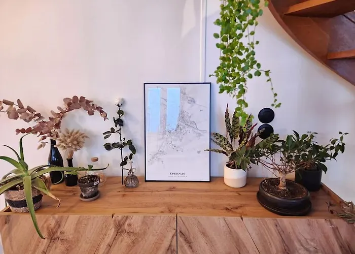 Le Garden Champ'- Duplex, Jardin *